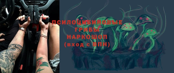 2c-b Алзамай