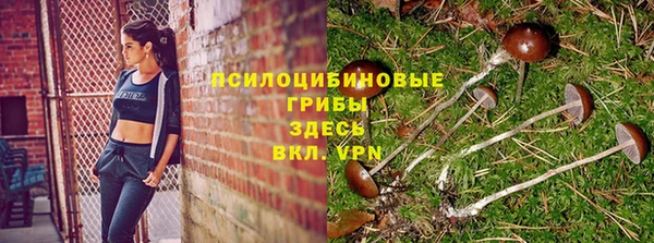 2c-b Алзамай