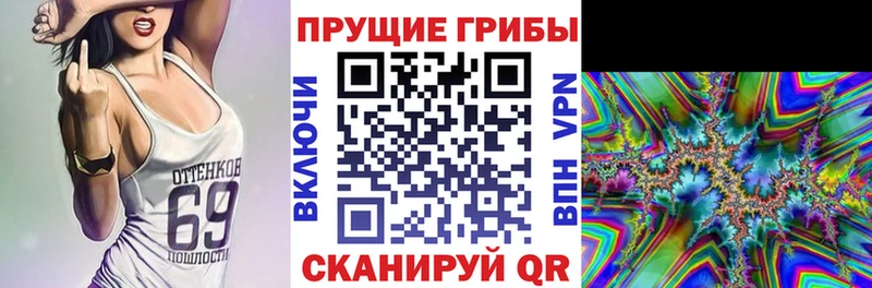Псилоцибиновые грибы мицелий  наркотики  Самара 