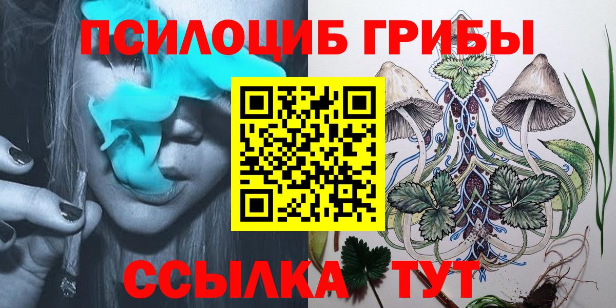 Псилоцибиновые грибы Cubensis Самара