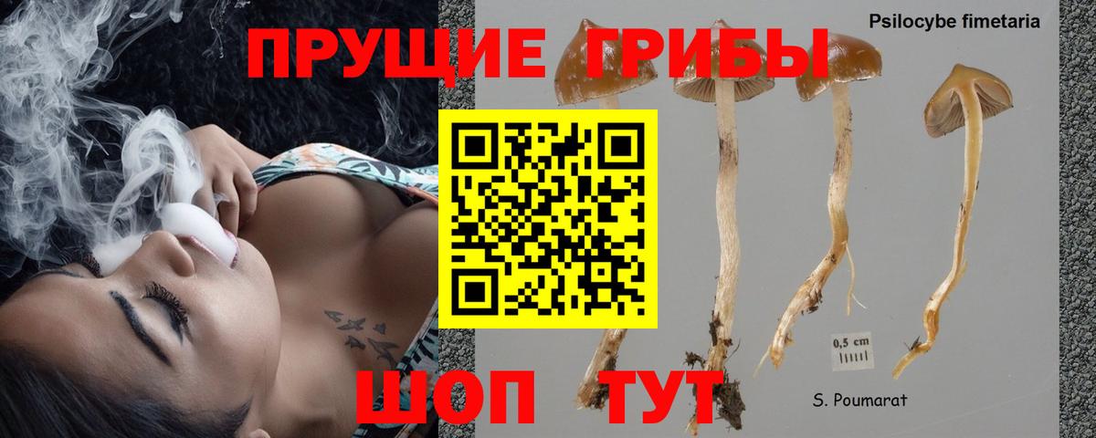 Псилоцибиновые грибы Magic Shrooms  Вход с VPN  Самара 